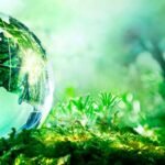 Recifest Embracing Renewal for a Sustainable Future