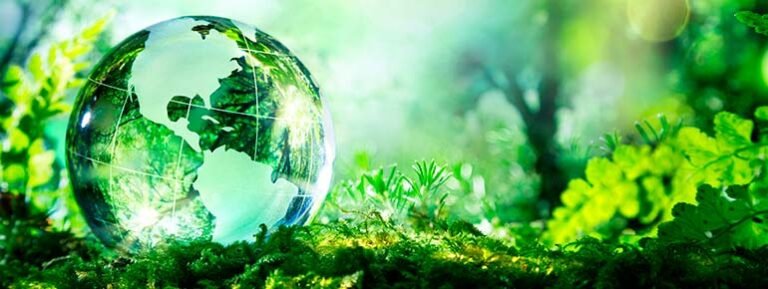Recifest Embracing Renewal for a Sustainable Future