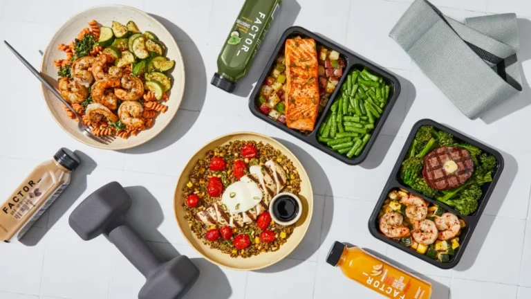 Tips To Choose the Best Meal Delivery Services